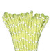 Neon Yellow Guardian Minicord Reflective