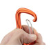 Carabiner 12KN