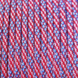 USA Flag Guardian Paracord 550 Type III 