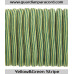 Yellow&Green Stripes Guardian Paracord 550 Type III 